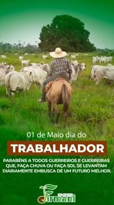 Pecuária de verdade